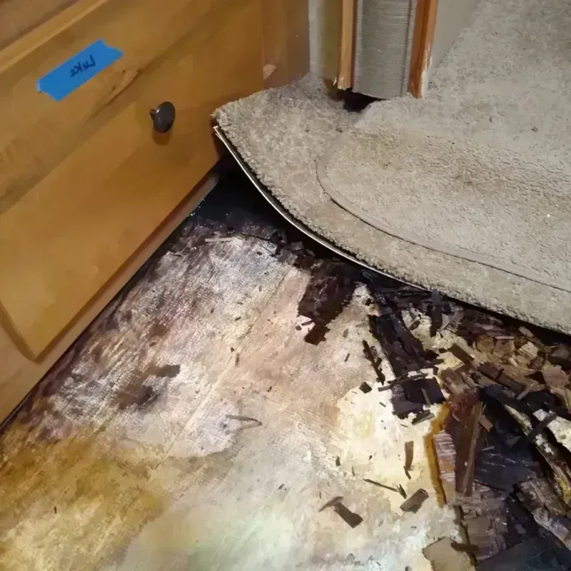 Wood Floor Water Damage in Battle Mountain, NV